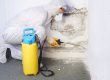 mould removal brisbane