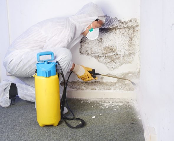 mould-removal-brisbane mould removal brisbane
